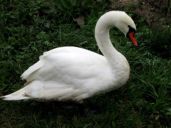 img_0015.jpg