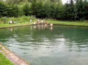 img_0023.jpg